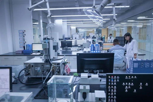 攝影師鏡頭下的dyetdz丨發(fā)展篇 生物基材料技術(shù)研發(fā)的光影記錄與未來(lái)藍(lán)圖