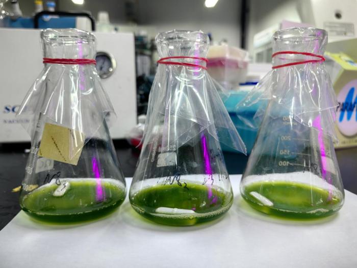 紹興上虞 科技創(chuàng)新驅(qū)動(dòng)，秸稈變身高價(jià)值新材料，譜寫綠色經(jīng)濟(jì)新篇章