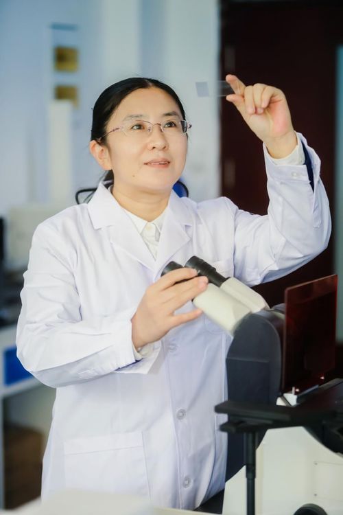 山東十杰展巾幗風(fēng)采，生物基材料研發(fā)先鋒榮膺全國(guó)三八紅旗手