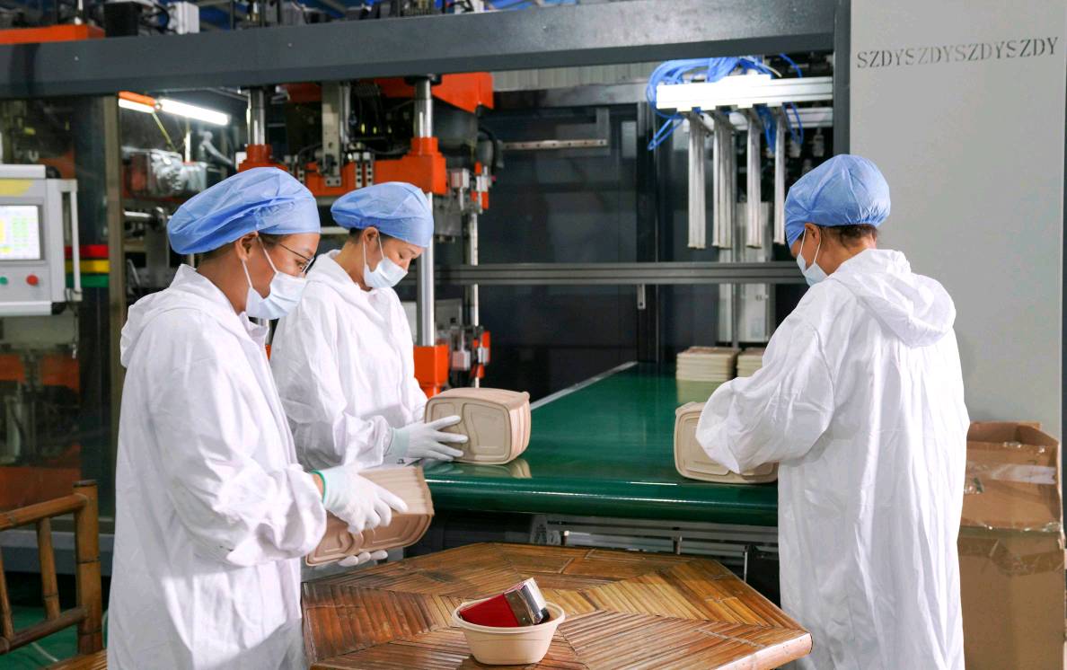 英德雙輪驅(qū)動(dòng) 生物基材料創(chuàng)新研發(fā)，鑄就“百千萬(wàn)工程”三年新篇